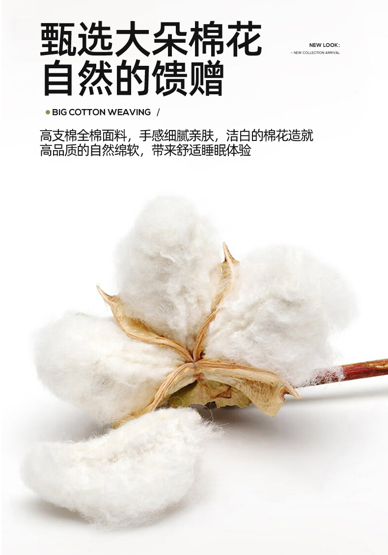 Product detail 5