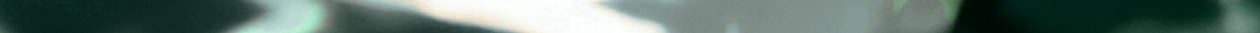 Product detail 47