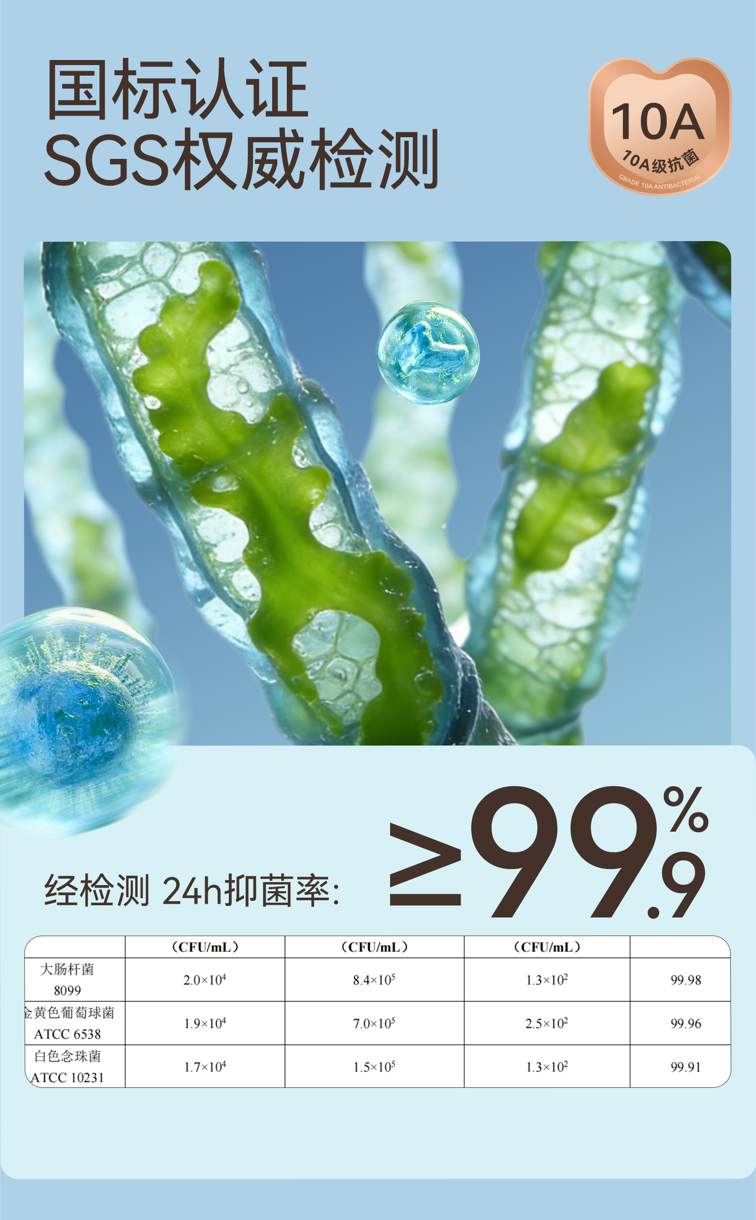 Product detail 12