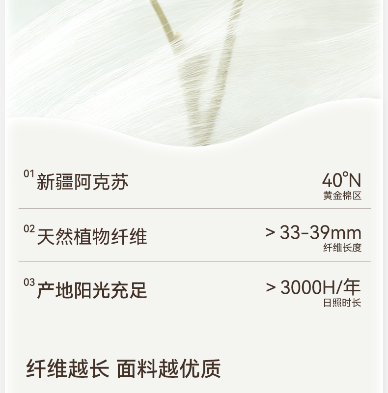Product detail 6