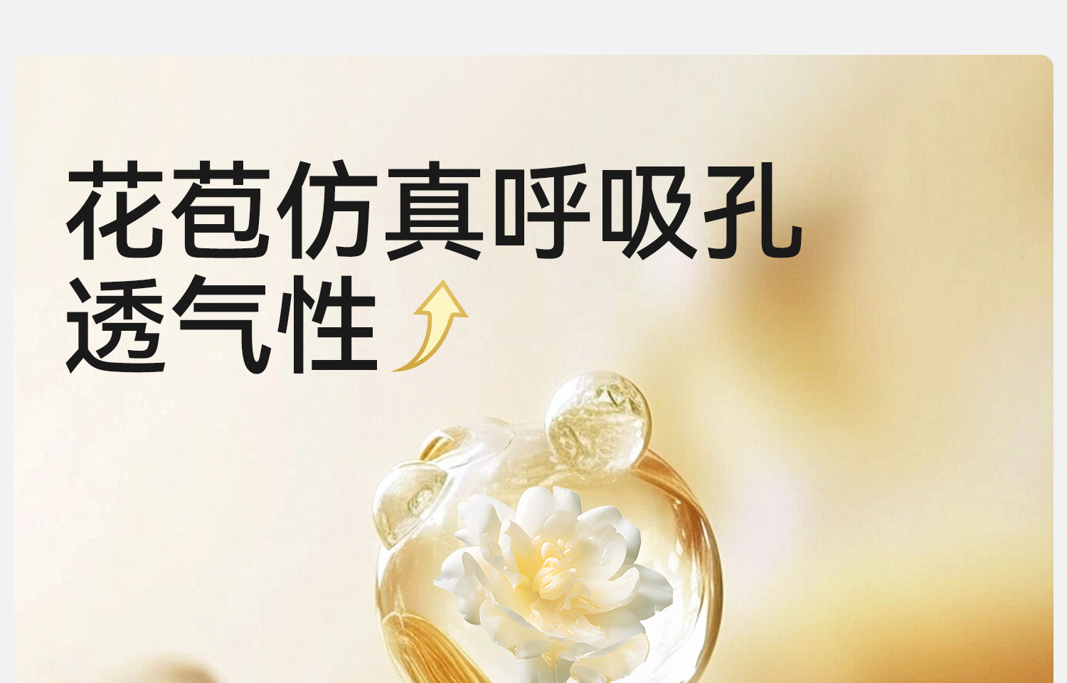 Product detail 13