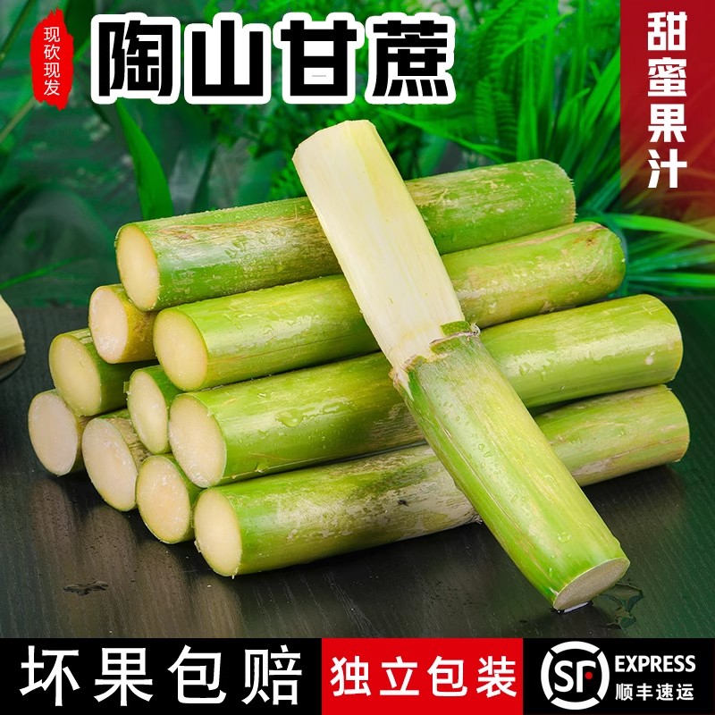 陶山甘蔗：孕妇水果新宠，顺丰直达的甜蜜诱惑