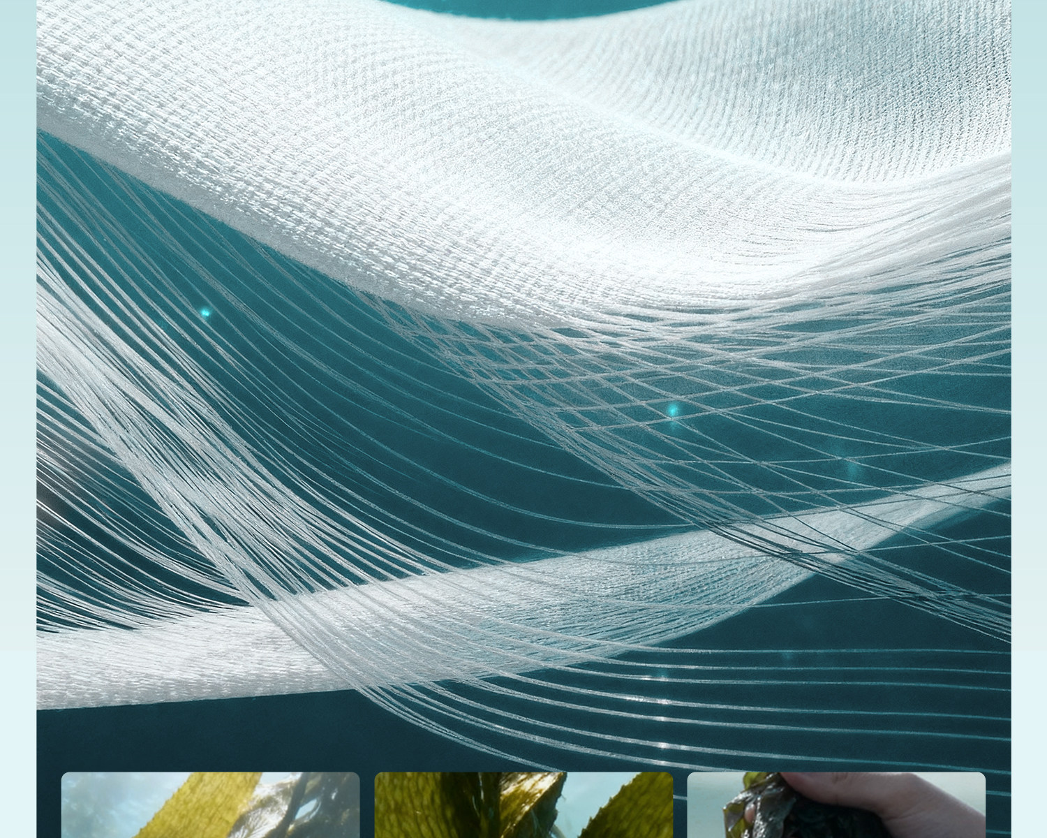 Product detail 15