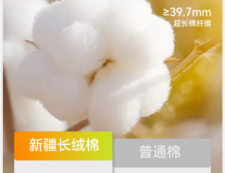 Product detail 11