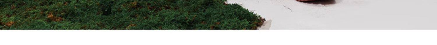 Product detail 19