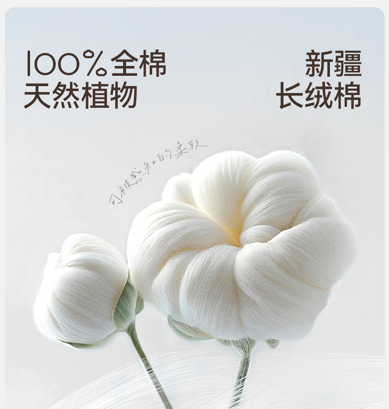 Product detail 6
