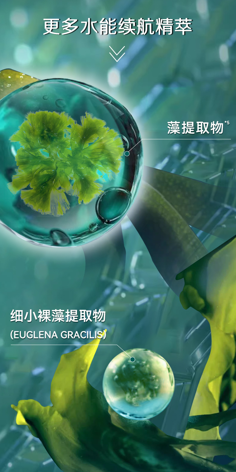 Product detail 7