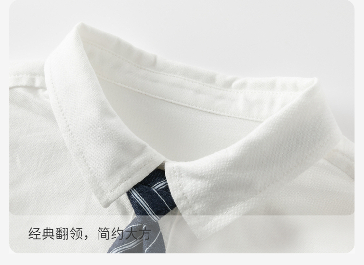 Product detail 8