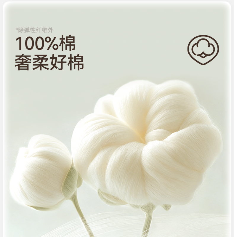 Product detail 5