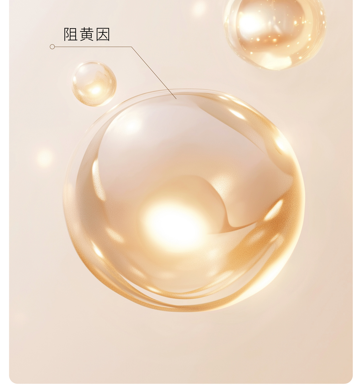 Product detail 10