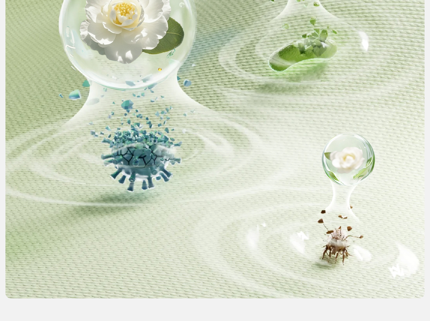 Product detail 21