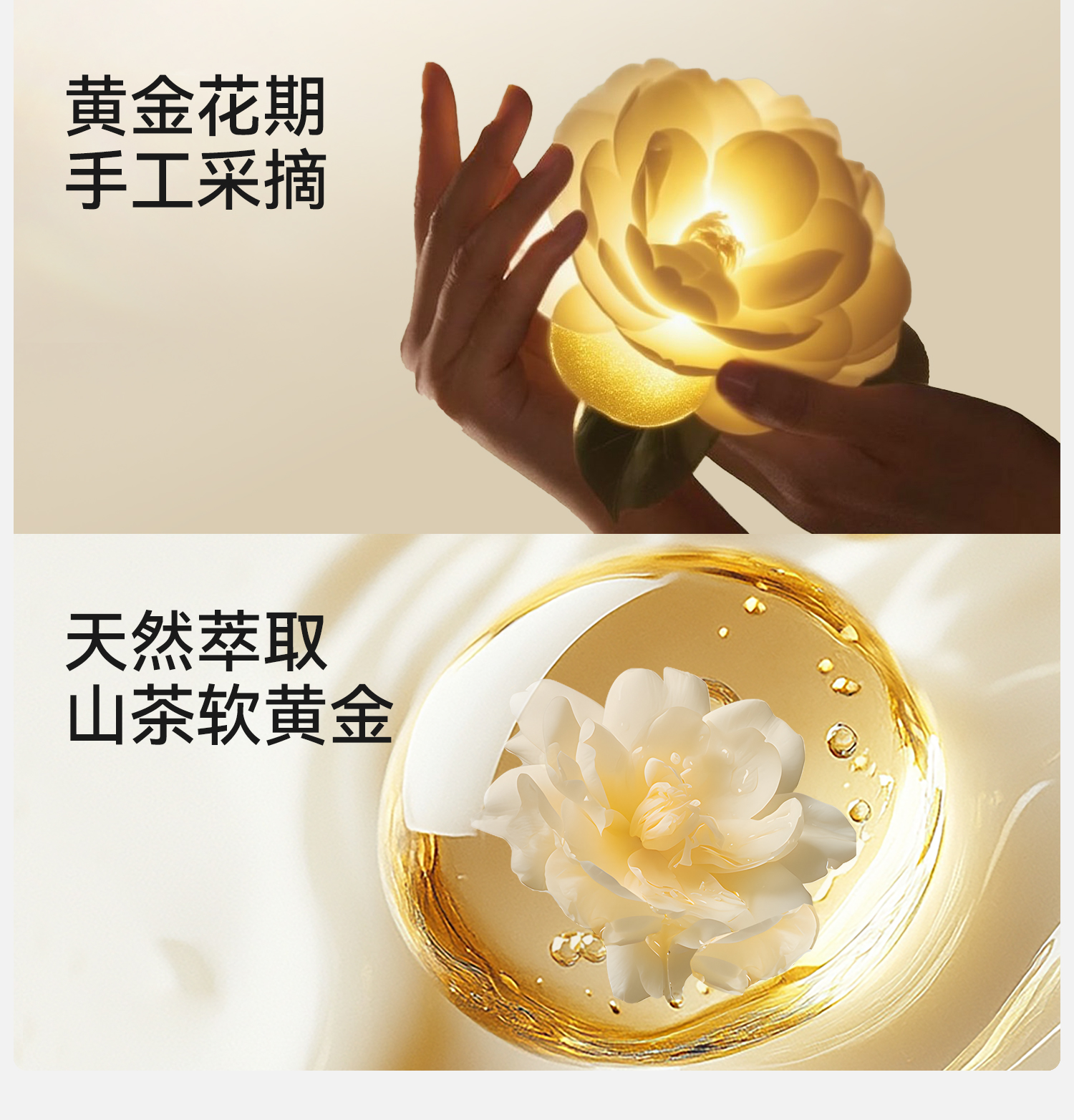 Product detail 6