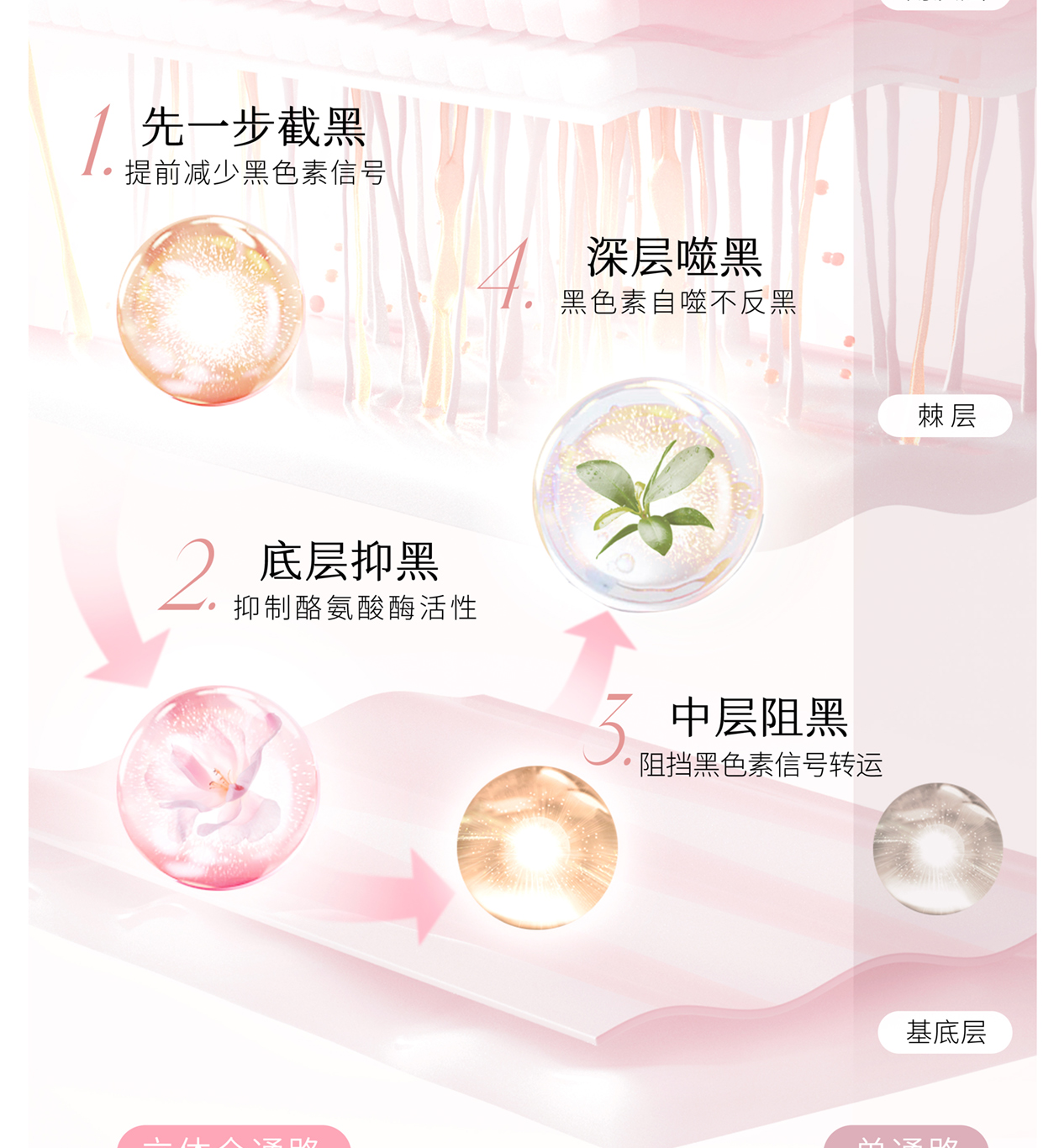 Product detail 6