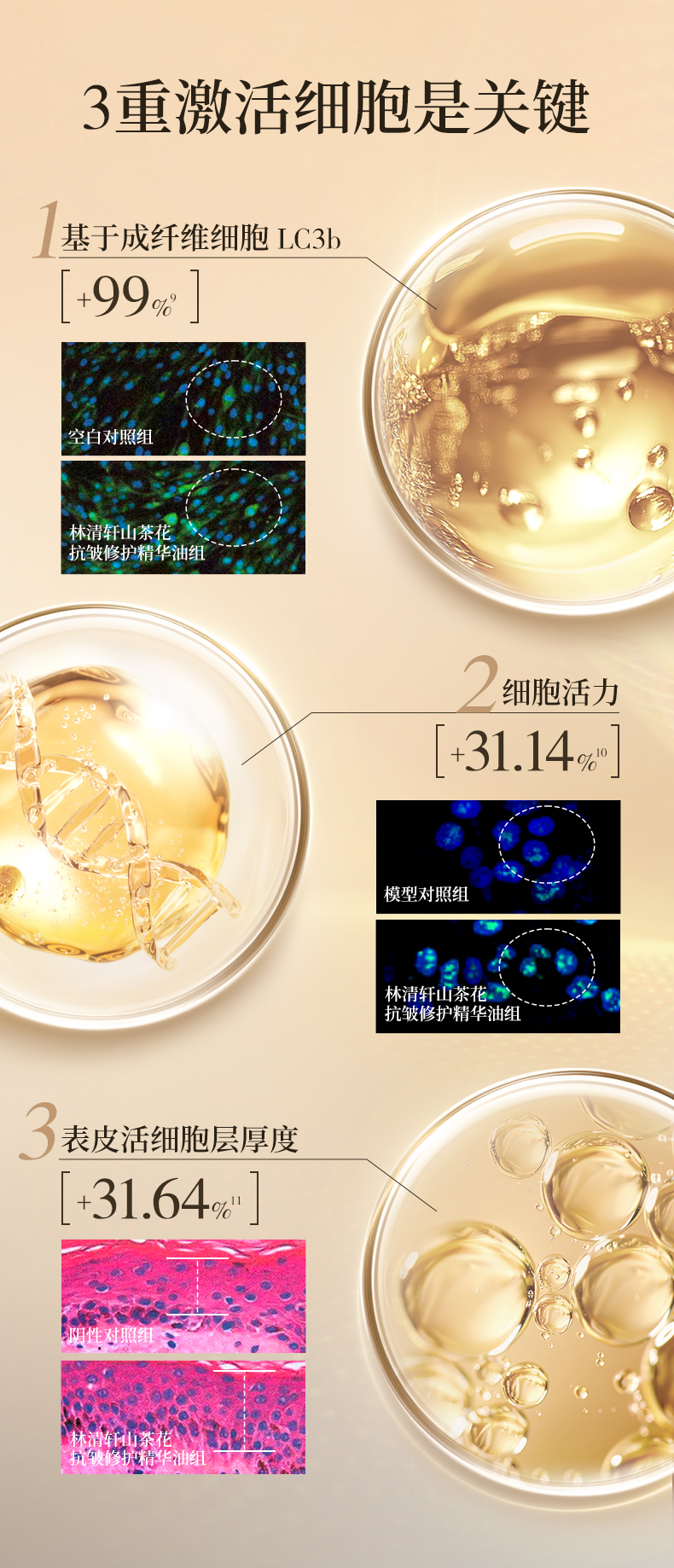 Product detail 7