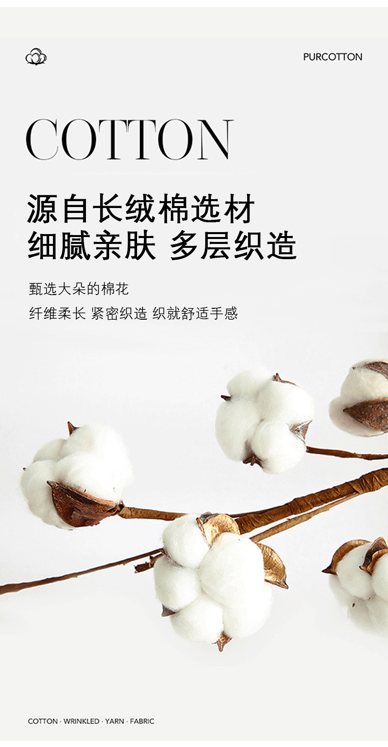Product detail 4