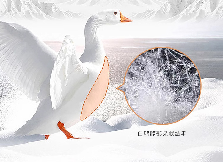 Product detail 10