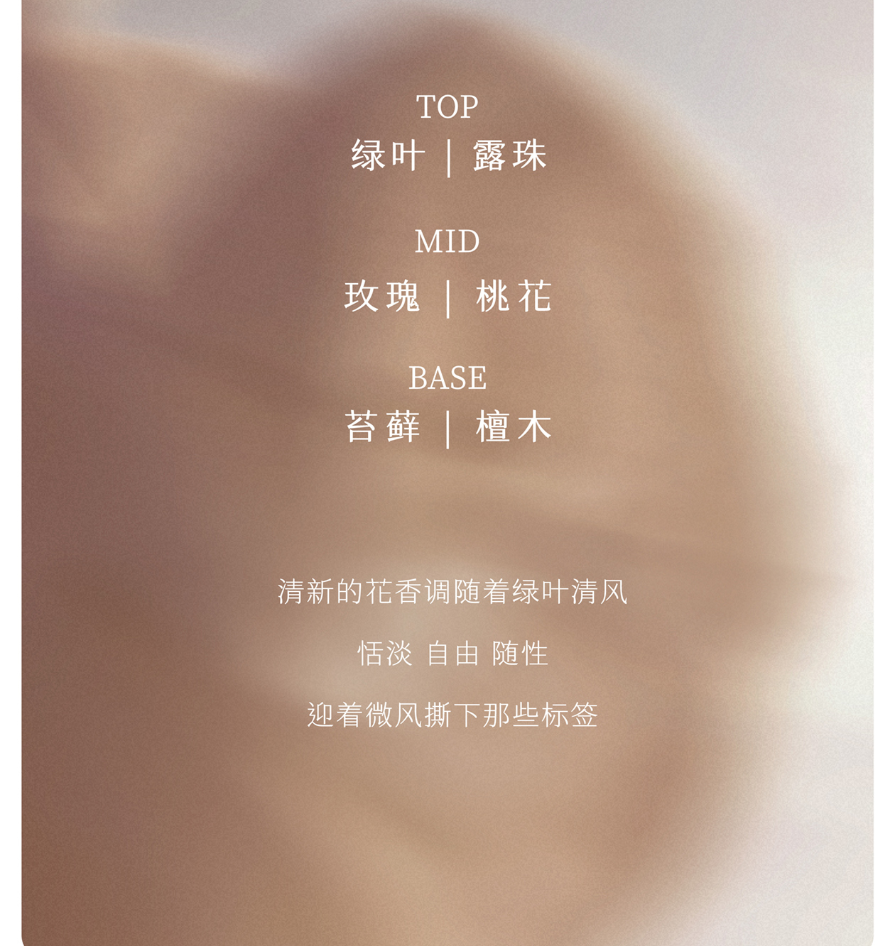 Product detail 15