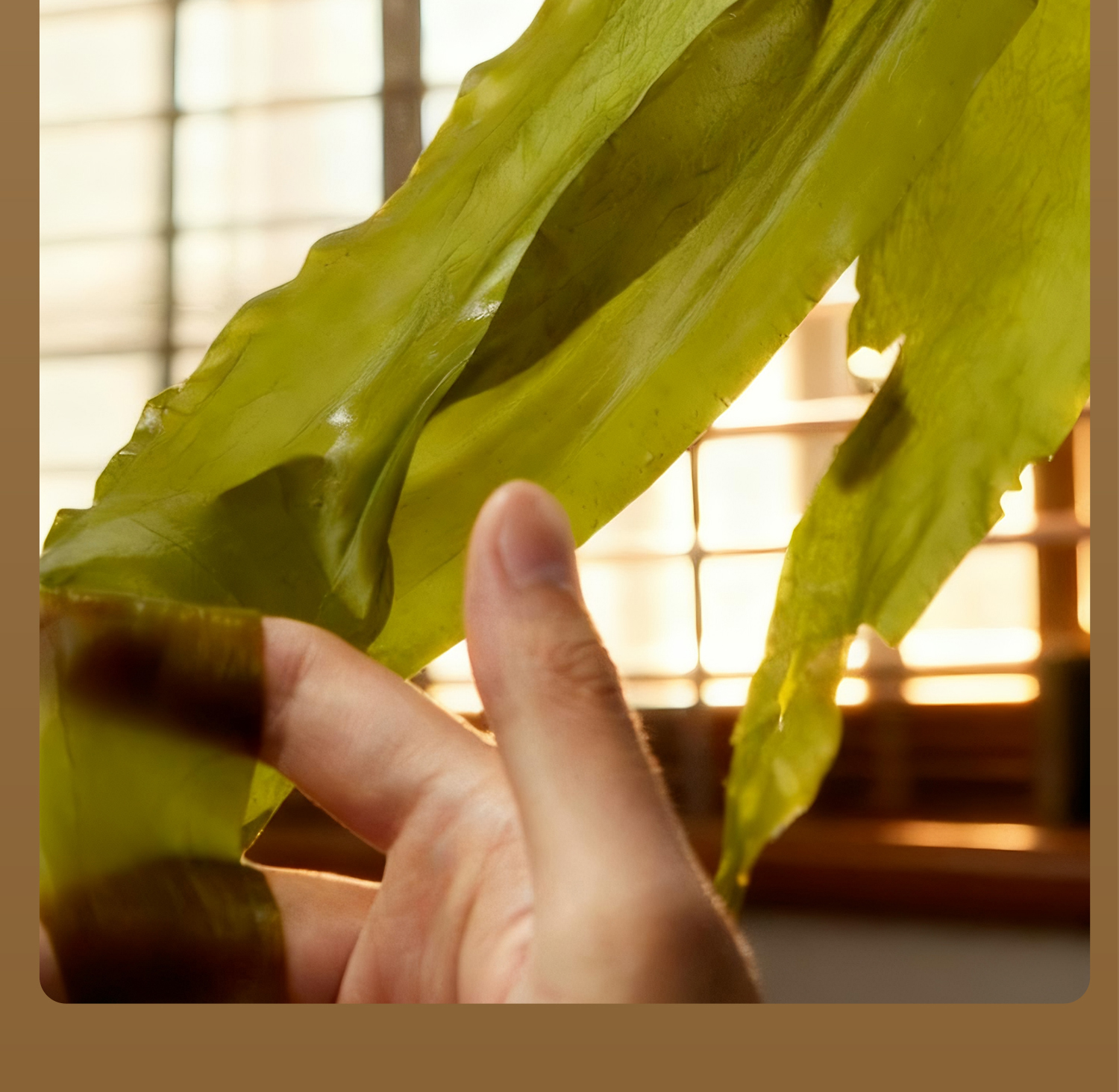 Product detail 24